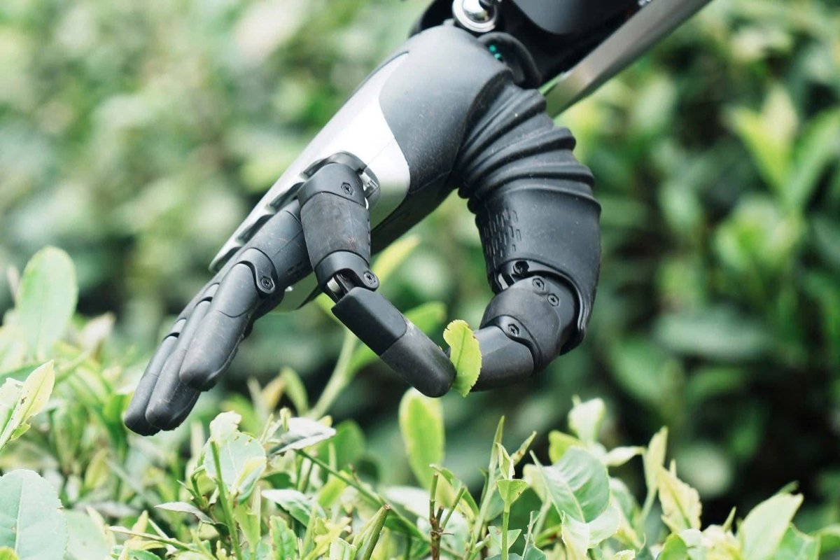 Robot hái trà ứng dụng AI: Điều đáng quan tâm không chỉ nằm ở con robot